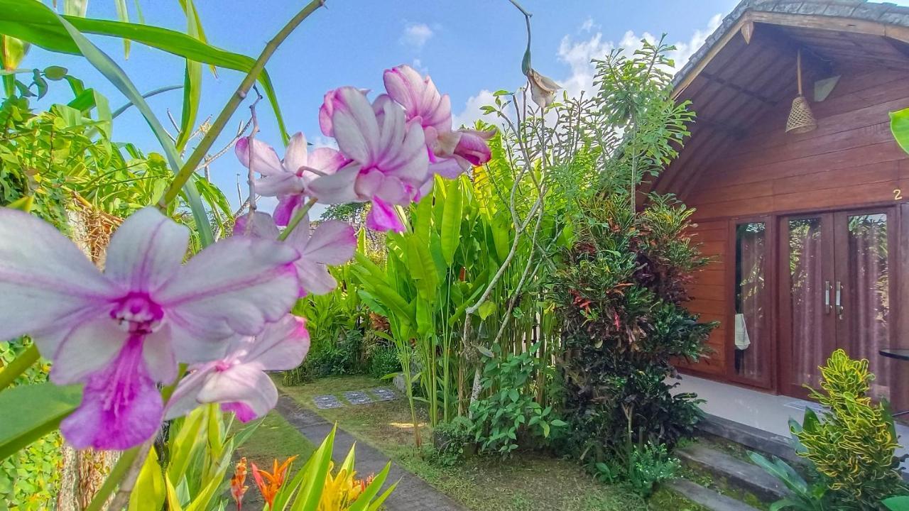 Morning Bali Bungalow Canggu Eksteriør bilde