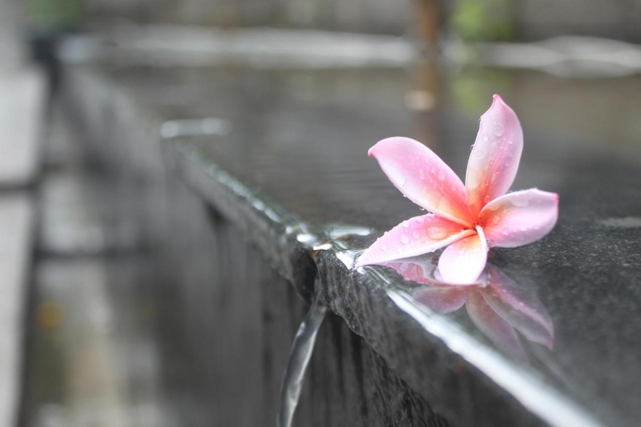 Morning Bali Bungalow Canggu Eksteriør bilde
